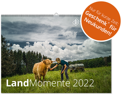 teaser_landmomente