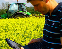 Mann mit Tablet vor Rapsfeld