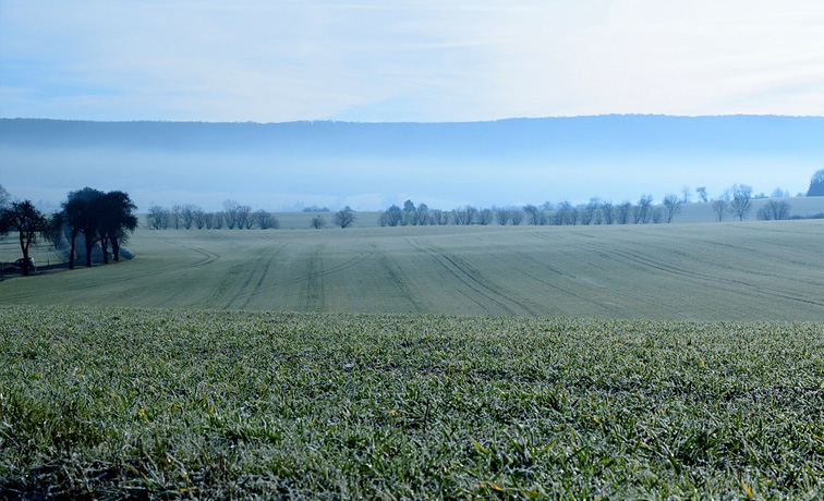 Flächenantrag importieren