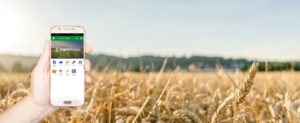 Hintergrund Feld