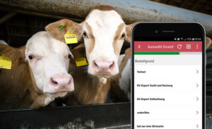 kühe Rinder smartphone ohrmake nachprägen