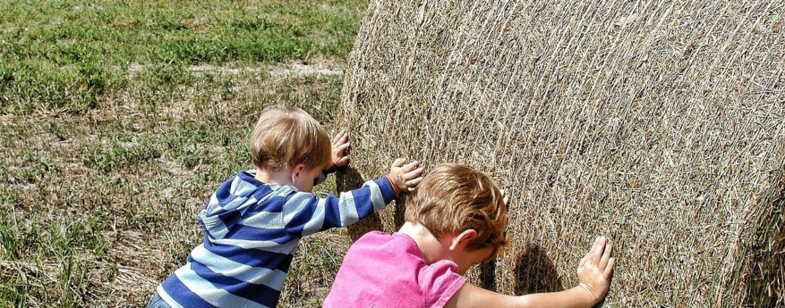 teamwork landwirtschaft