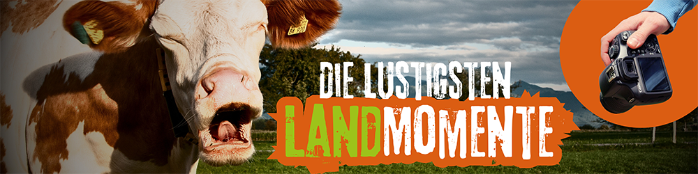 lustigste-landmomente